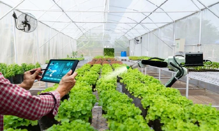 Course Smart Agriculture: Harnessing Technology for Sustainable Farming cover